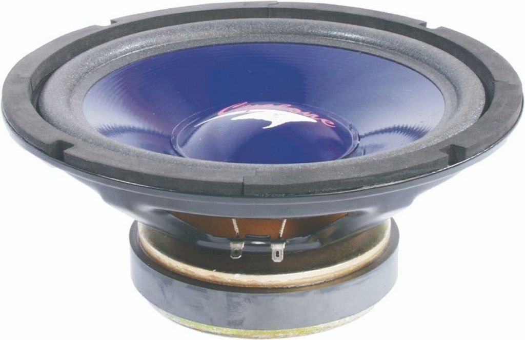 CS100 10” Subwoofer Cyclone, Audio Speakers Wagner Online
